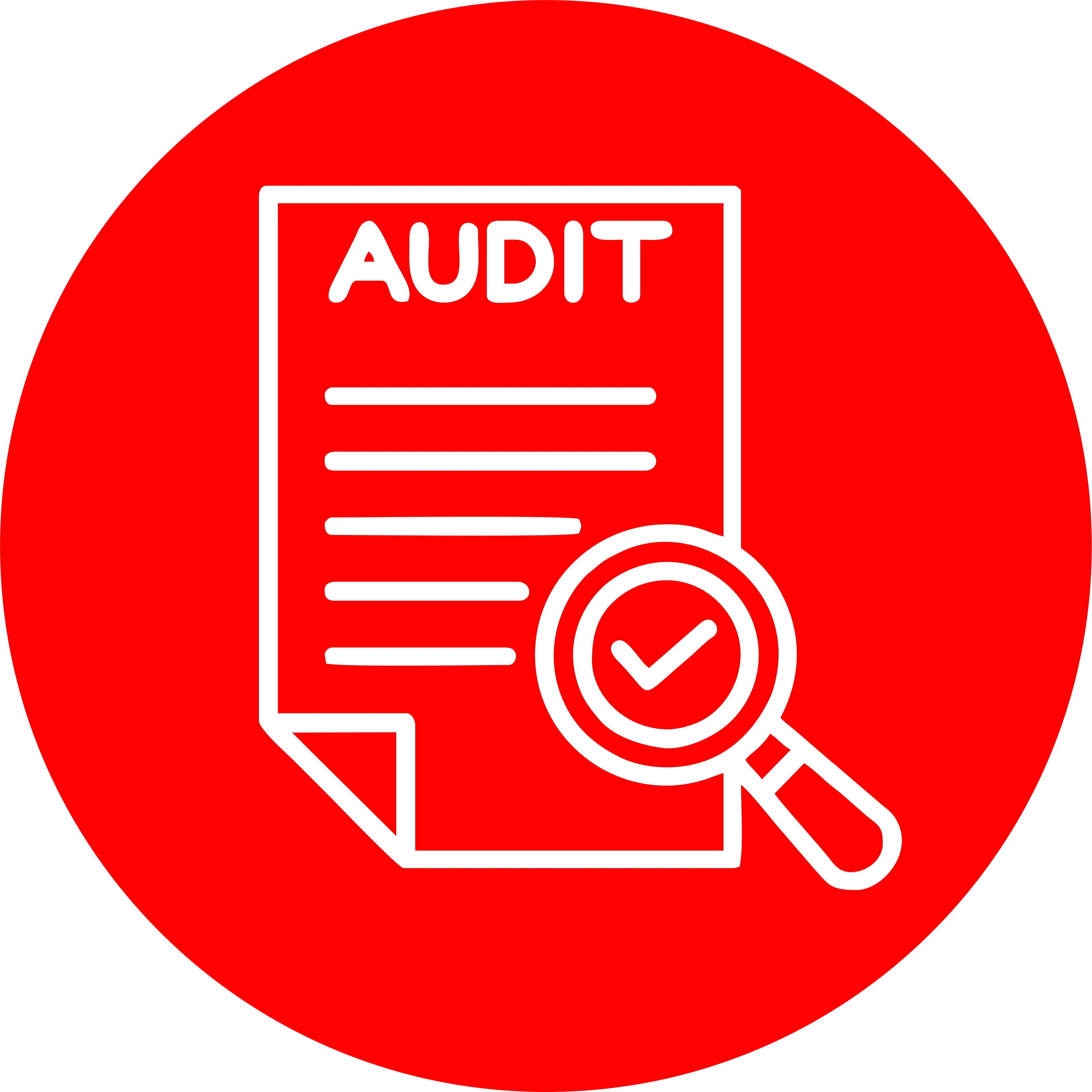 Audit document icon with magnifying glass and check mark on red background